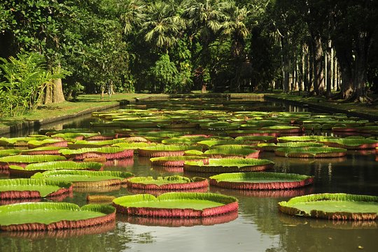 Tour image 1