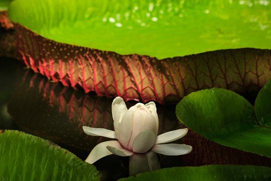 Tour image 6