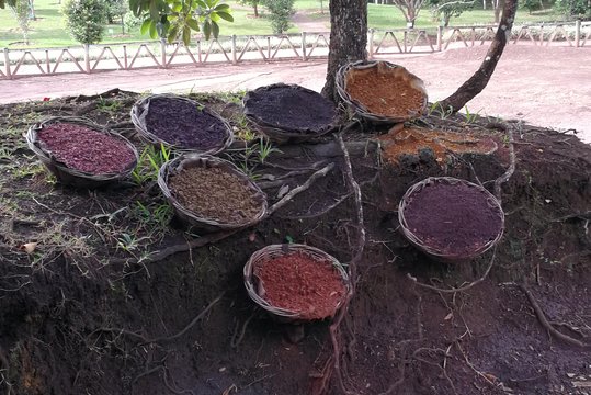 Tour image 7