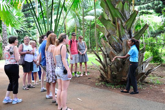 Tour image 4