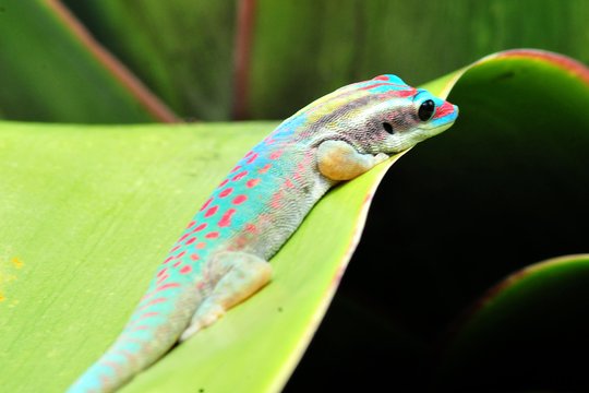 Tour image 3