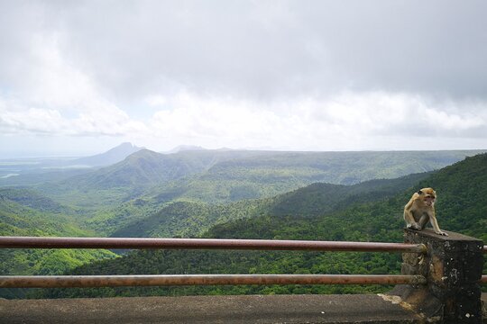 Tour image 14