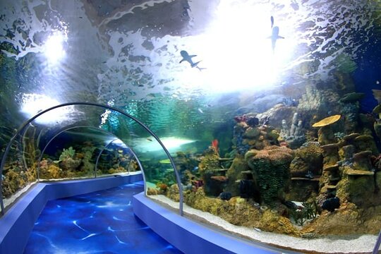 Tour image 5