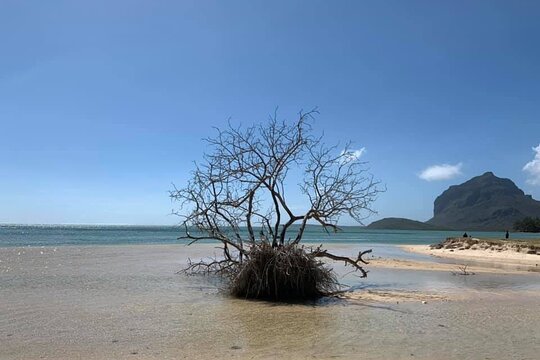 Tour image 9