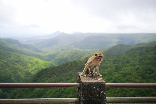 Tour image 1