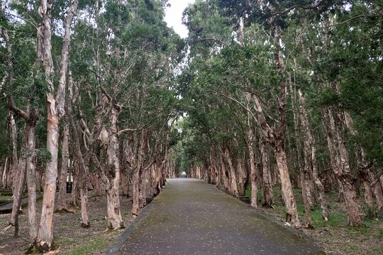 Tour image 6