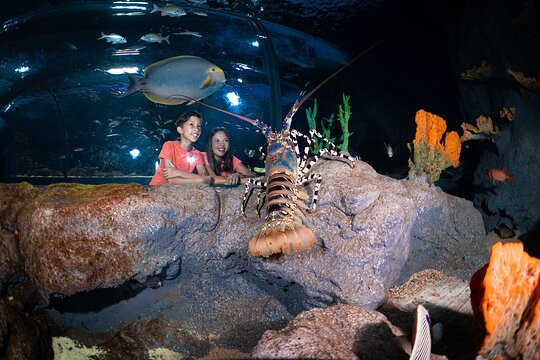 Tour image 6